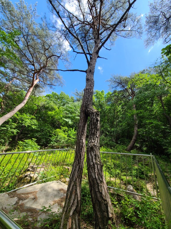 사람사랑산 이미지