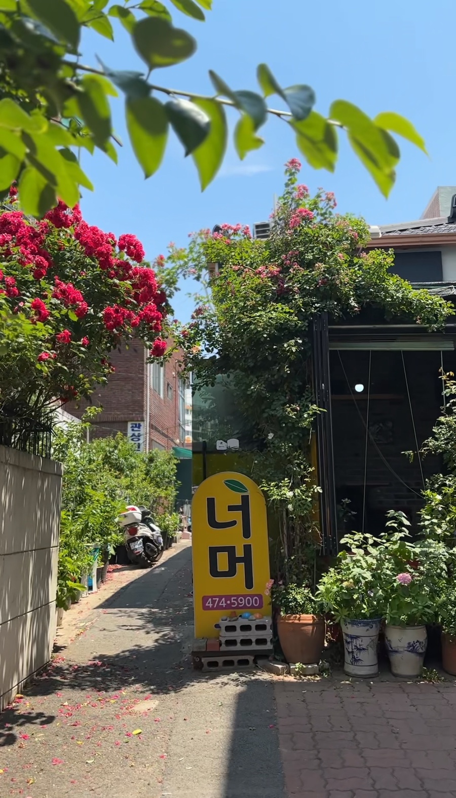 경일분식 이미지