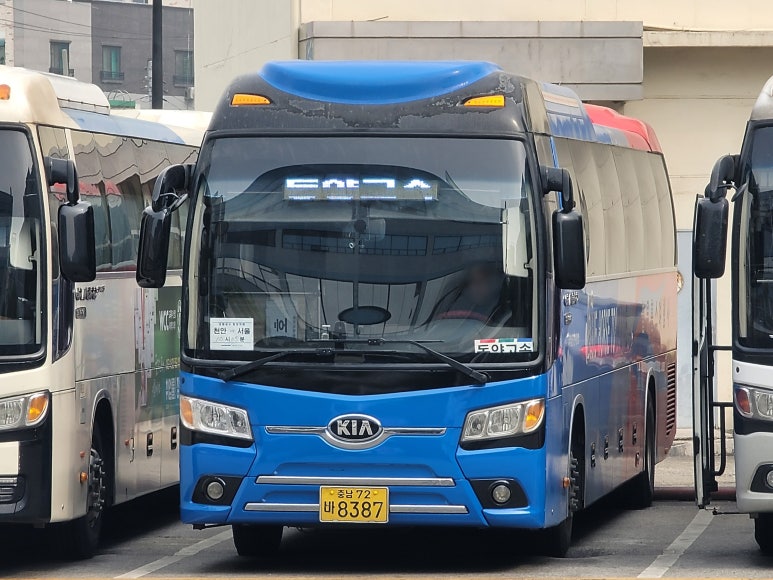 동양관광여행사 이미지