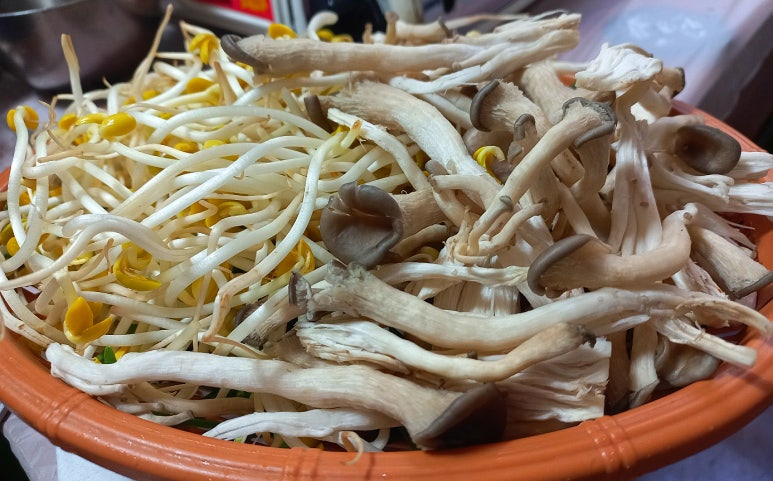 하림오리마을 이미지