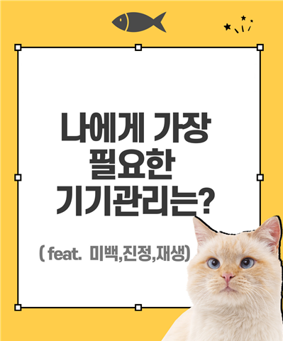 맑고고운피부케어 이미지