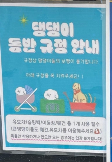 더리터운정초롱꽃 이미지