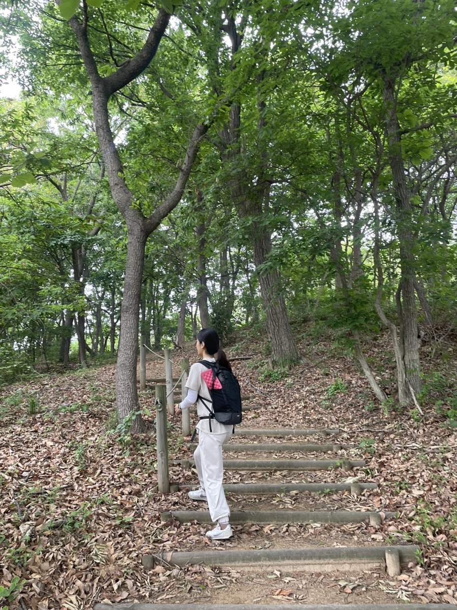클레버핏 이미지