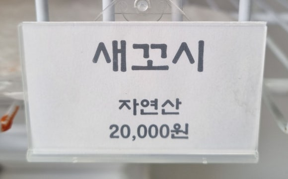 이모네젓갈 이미지