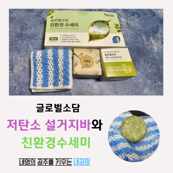 글로벌소담 이미지