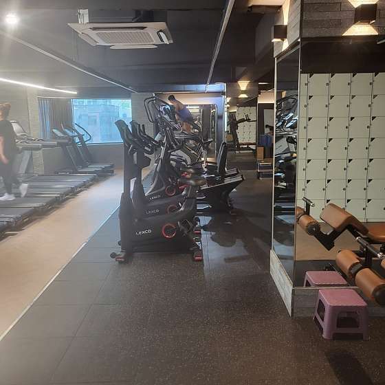 알피짐 이미지