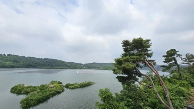 다림건축사사무소 이미지