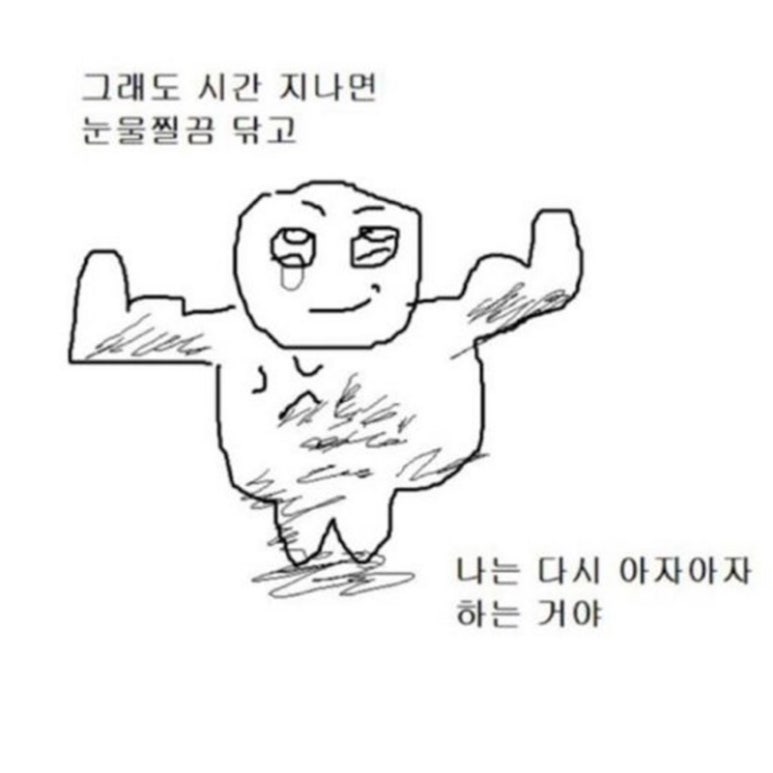 피네FINE 이미지