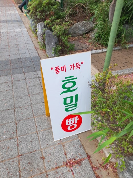 호밀베이커 이미지