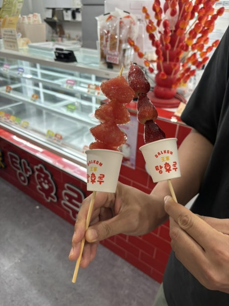 행복한여행사주 이미지