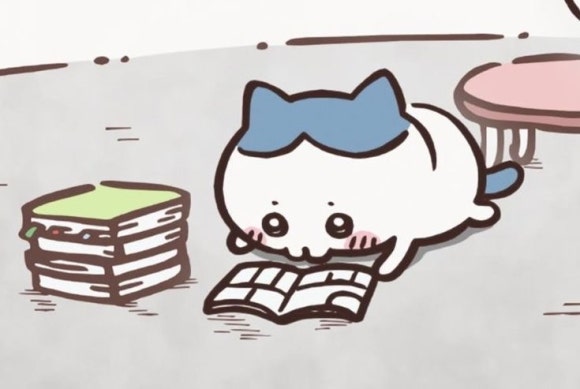발라 이미지