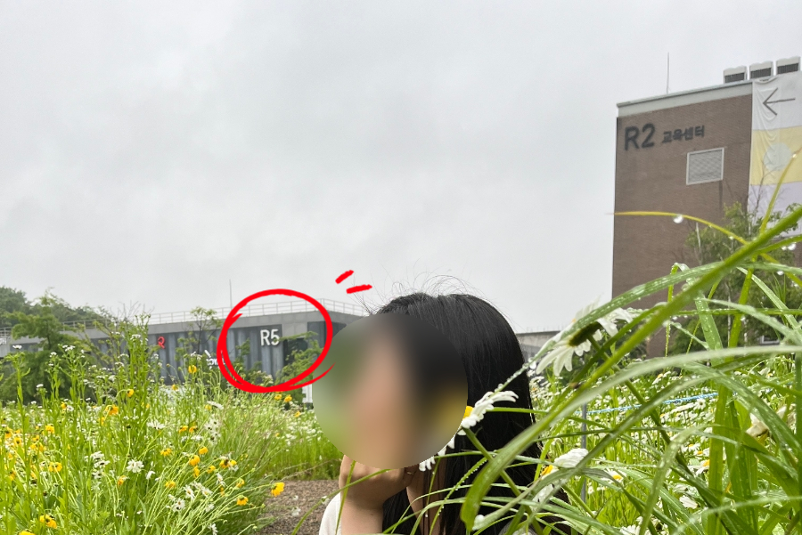 로얄엑스(ROYAL X) 이미지