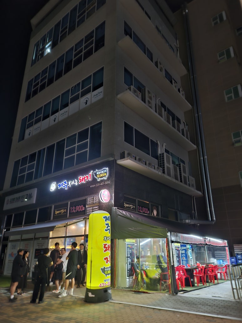 제주부리는돼지 이미지