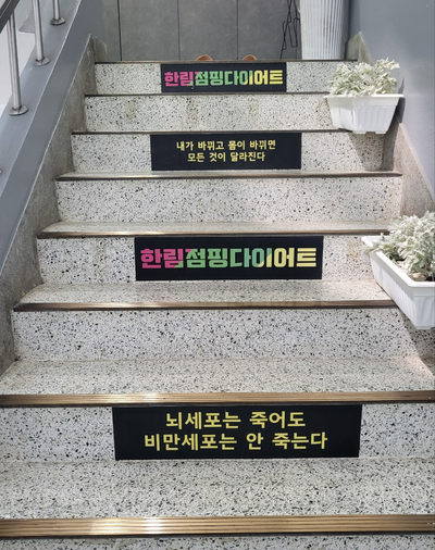 한림점핑 이미지
