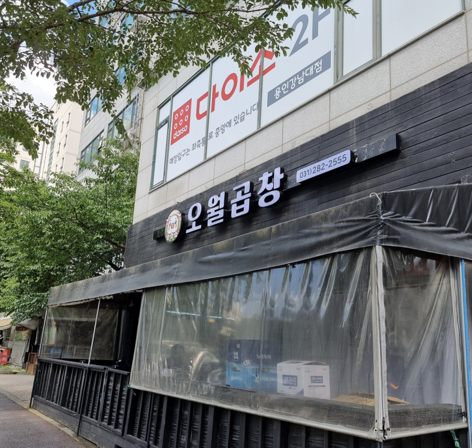 다이소강남대점 이미지