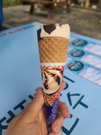GS25 경주중앙점 이미지