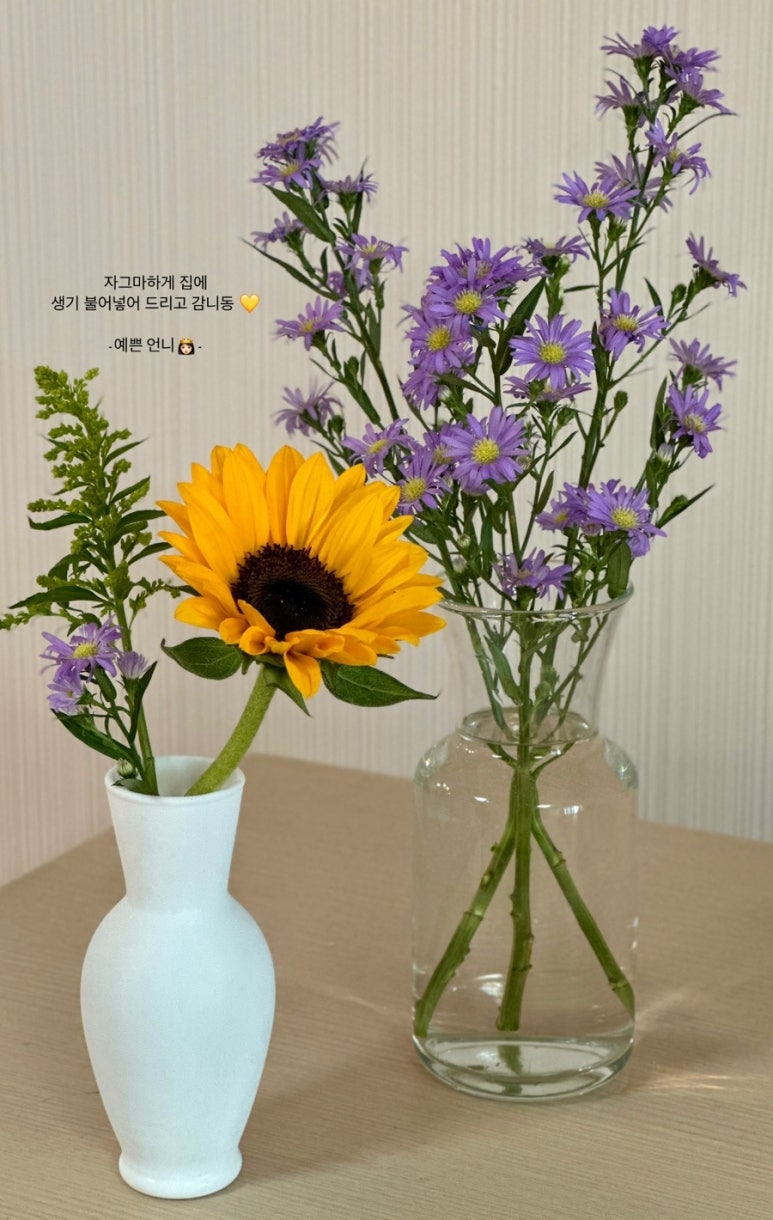 스노우폭스플라워 이미지