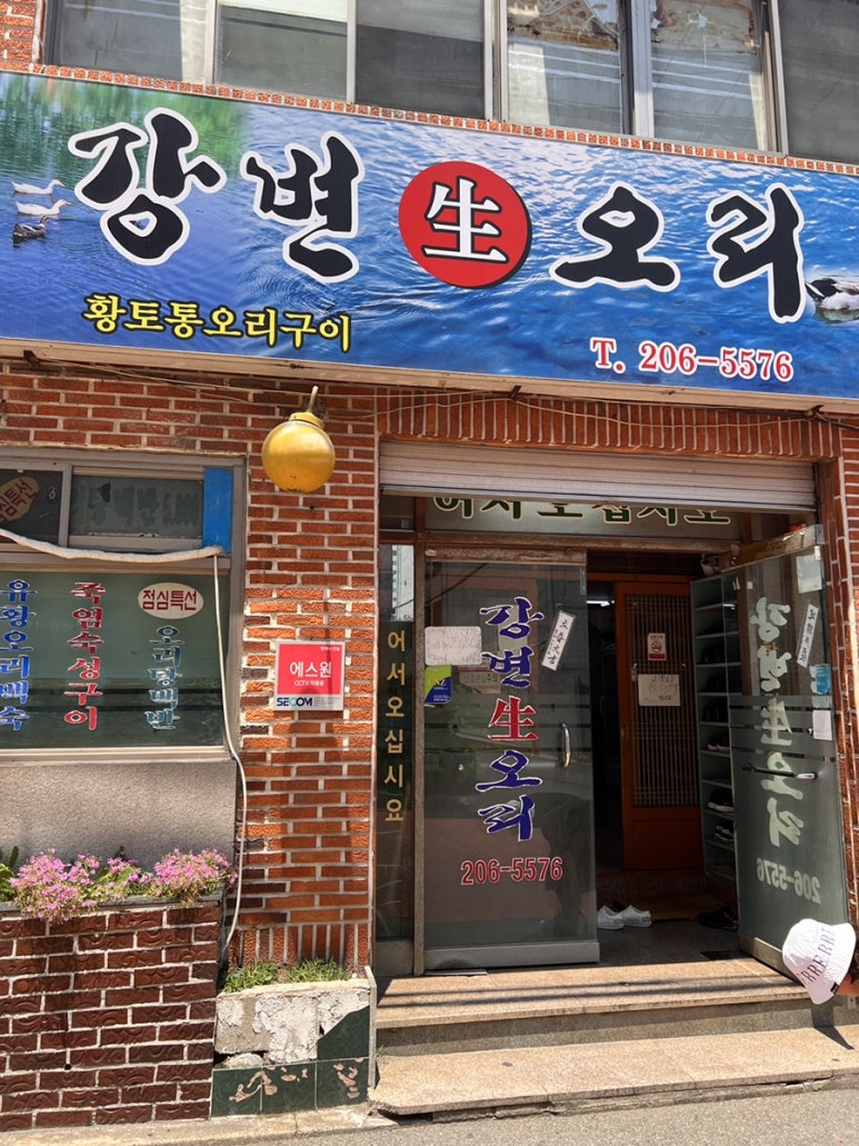 강변생오리 이미지