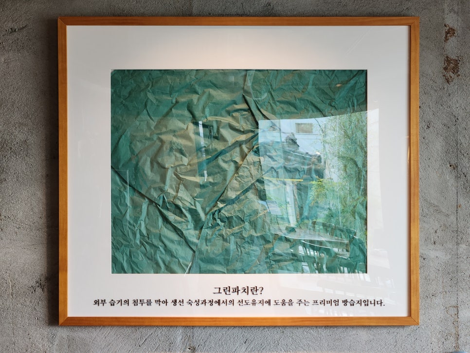 그린파치 이미지