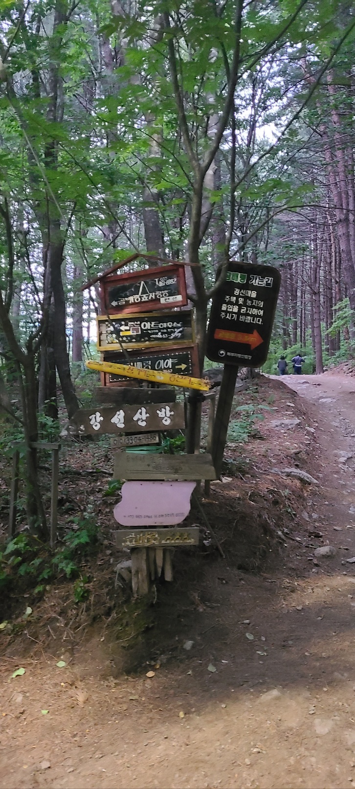 강산화원 이미지