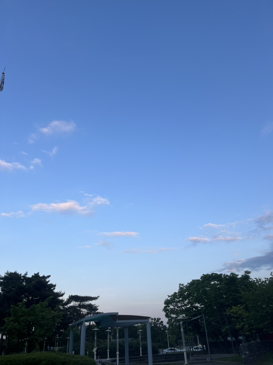 데이지(Dayzi) 이미지