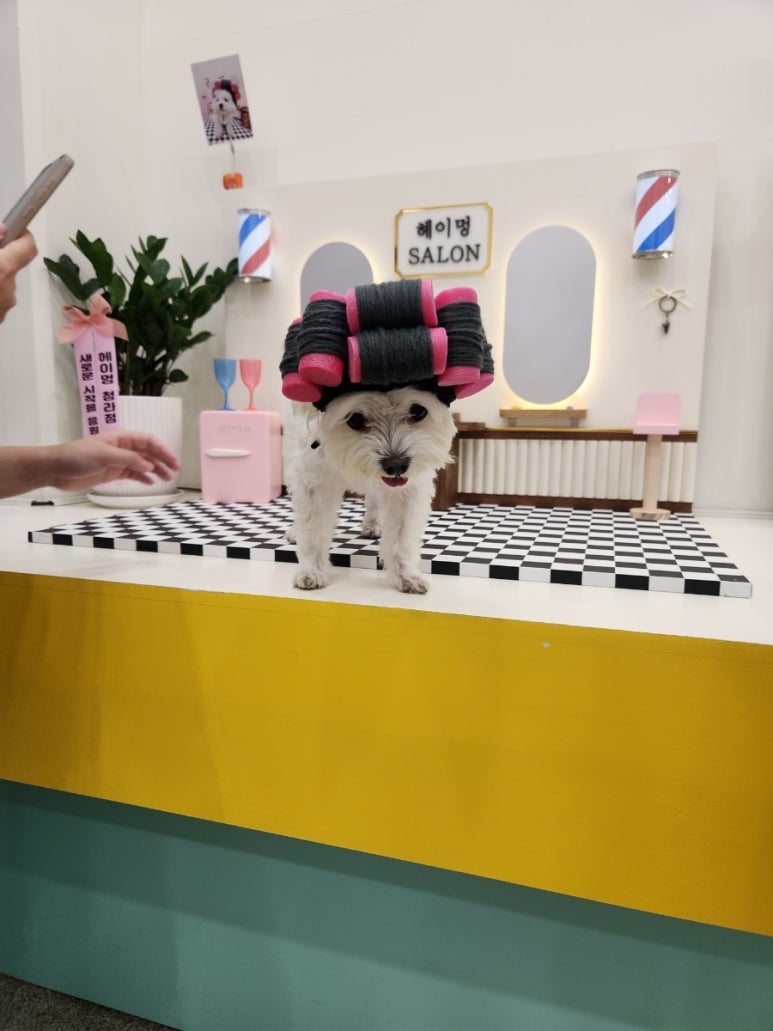 헤이피자 이미지