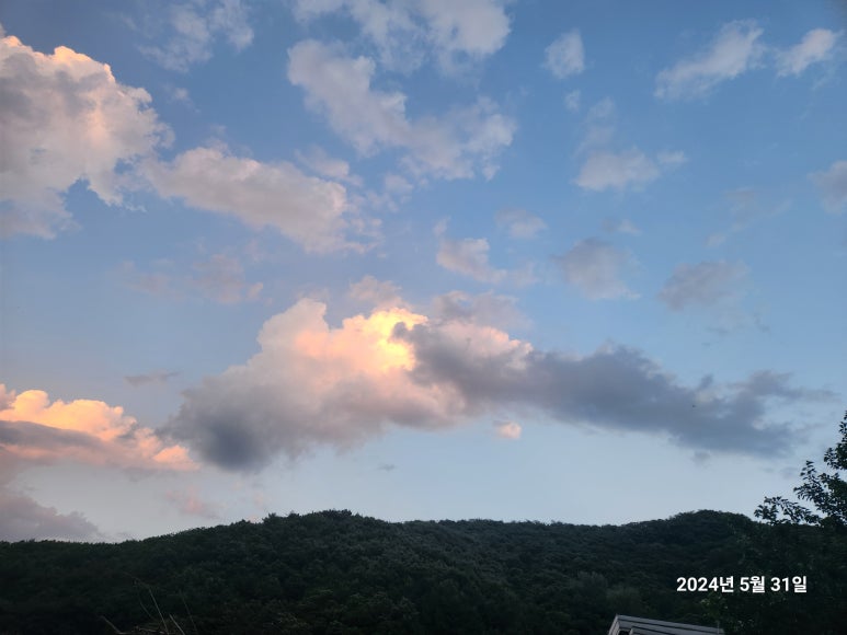 은이로211 이미지