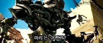 블루마리 이미지