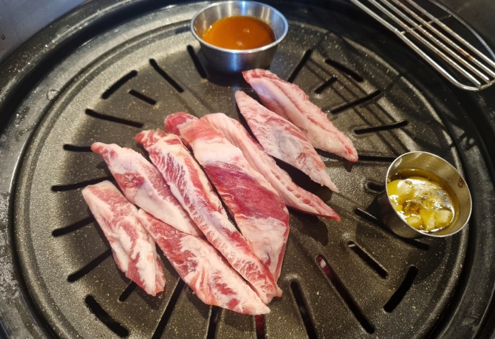 꽃돼지갈매기 이미지