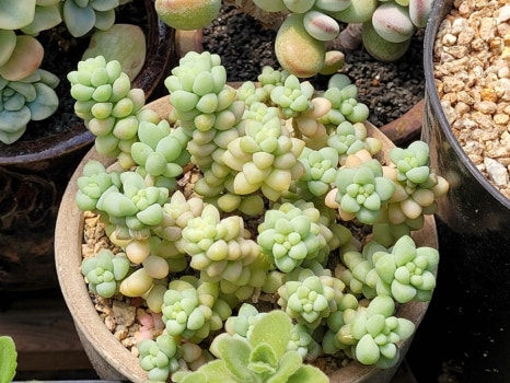(주)청옥 이미지