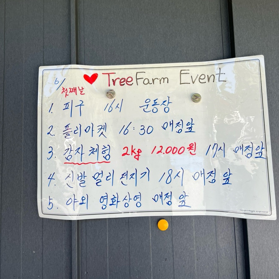 트리팜 관광농원 이미지
