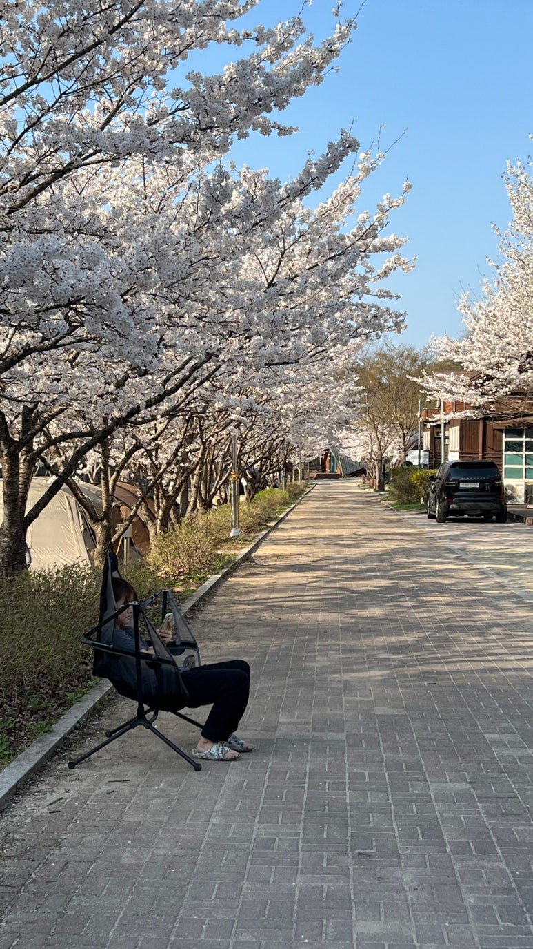 구룡상회 이미지