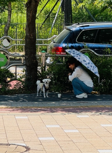 더대단한커피영종 이미지