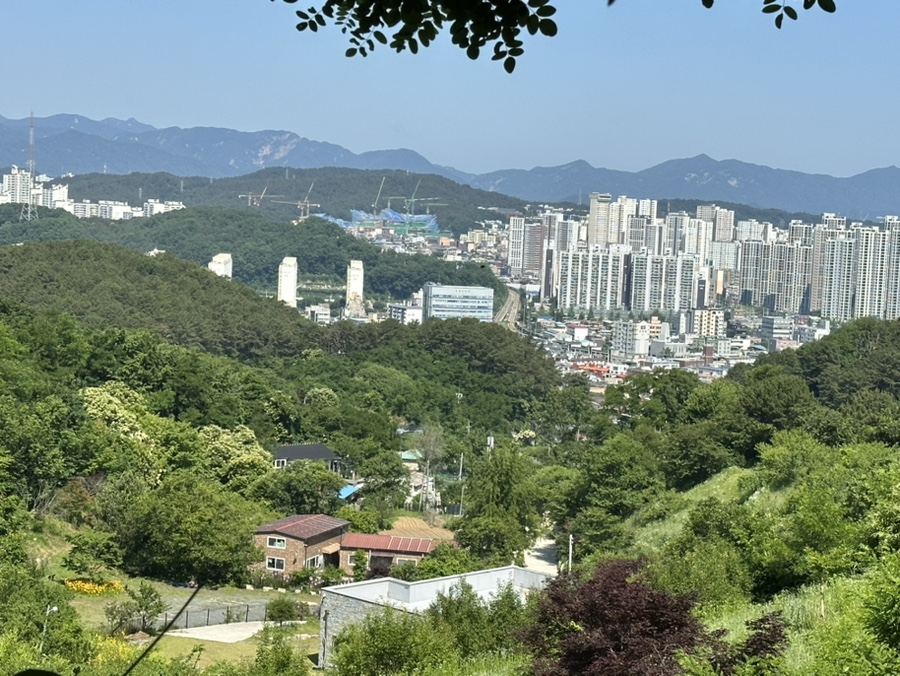 함흥냉면동물원옆 이미지