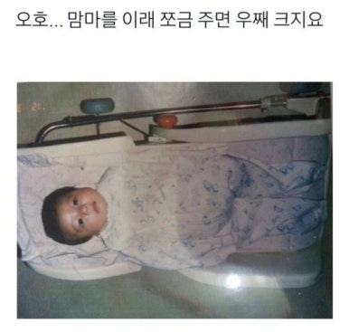 쨍하고해뜰날 이미지