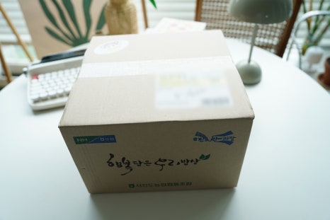 리빙진도 이미지