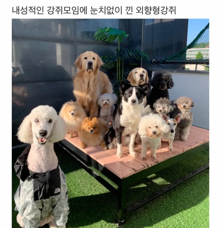 한량 이미지