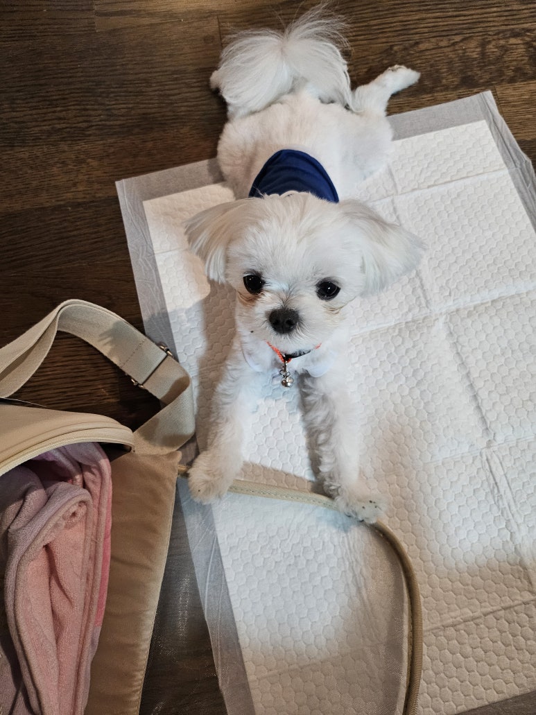 크로스핏간지 이미지