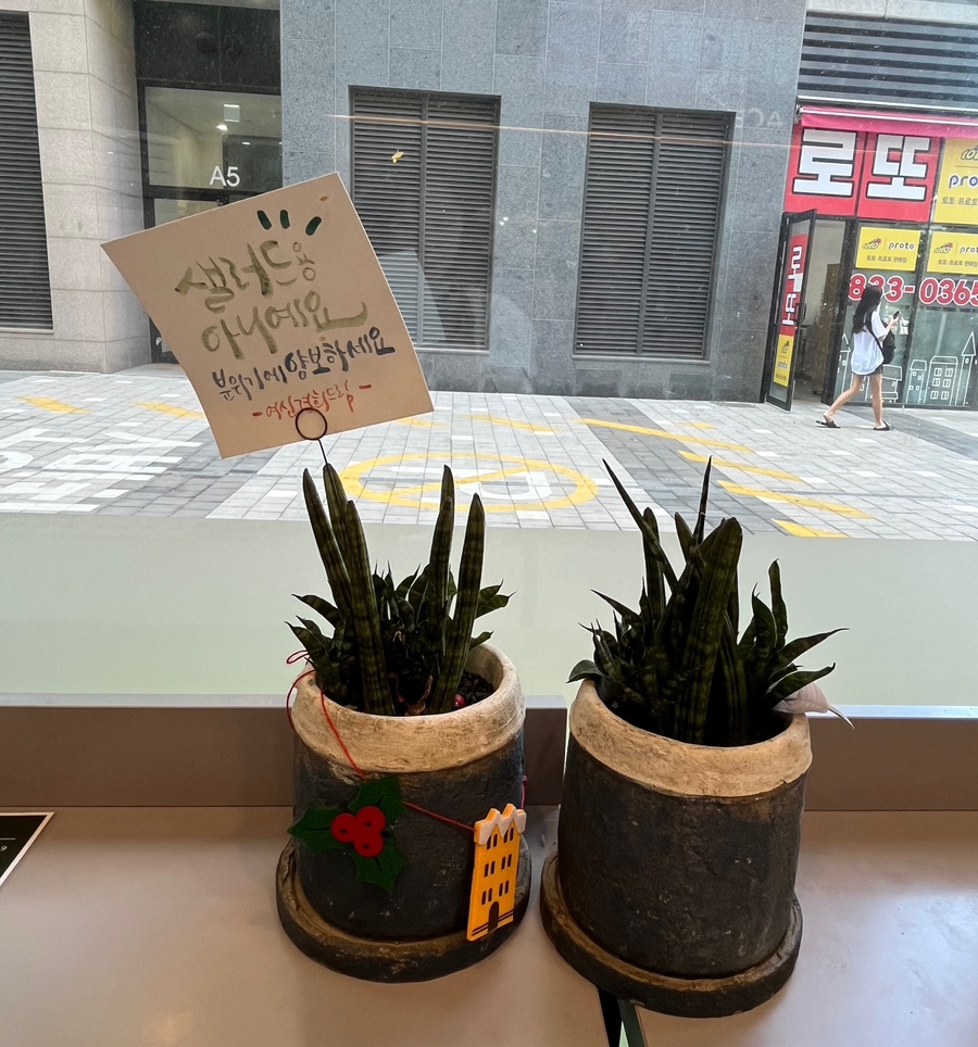 샐러디 송도랜드마크시티점 이미지
