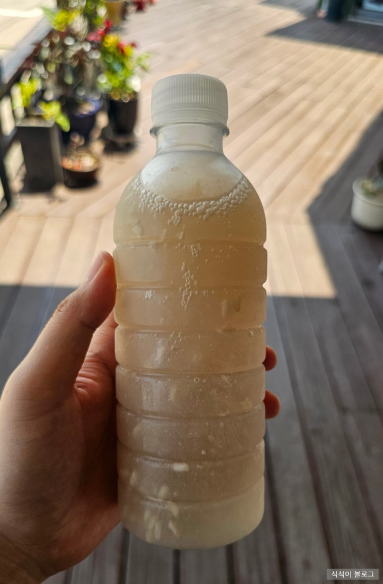 맛드림찐빵만두 이미지