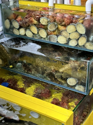 더블유스파펜션 이미지