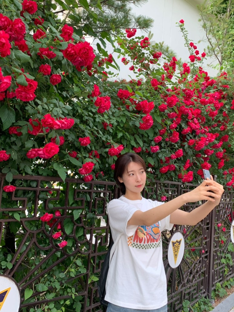 한스크루 이미지