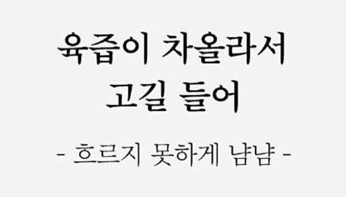 픽피그 이미지