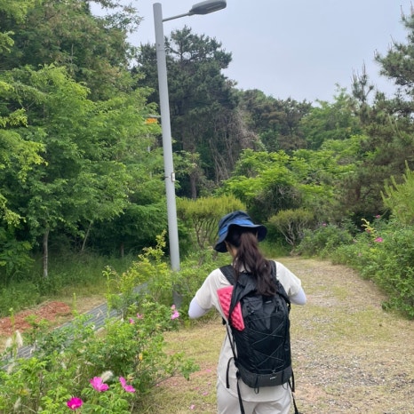 클레버핏 이미지