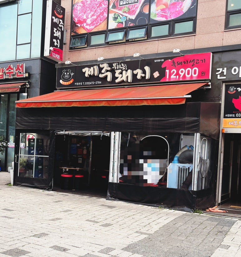 제주부리는돼지 이미지