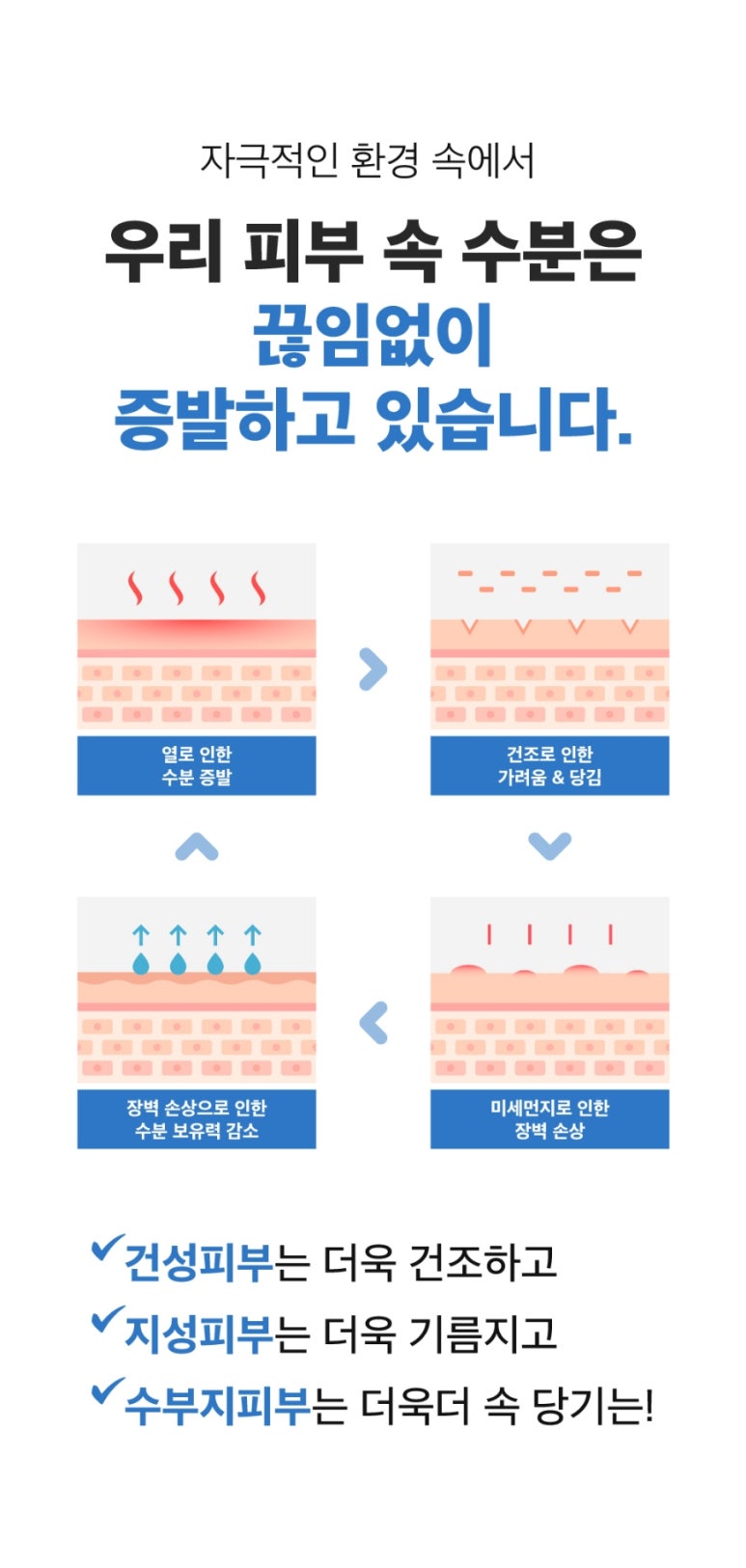 브리이에 이미지