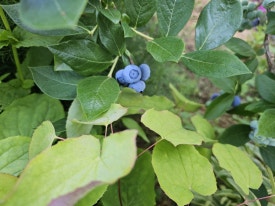 (주)자연농장 이미지