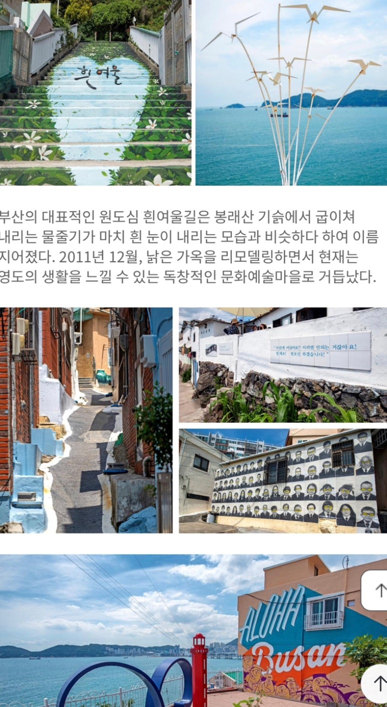 청학소풍 이미지