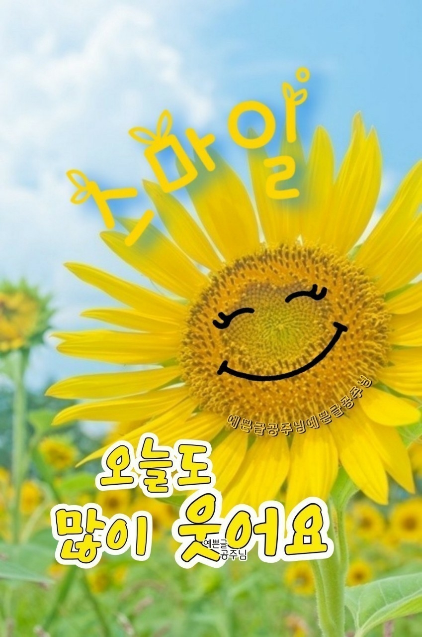 꽃핀다 이미지