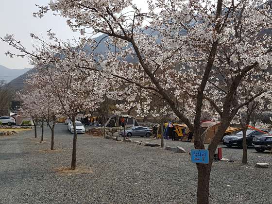 밀양표충오토캠핑장 이미지